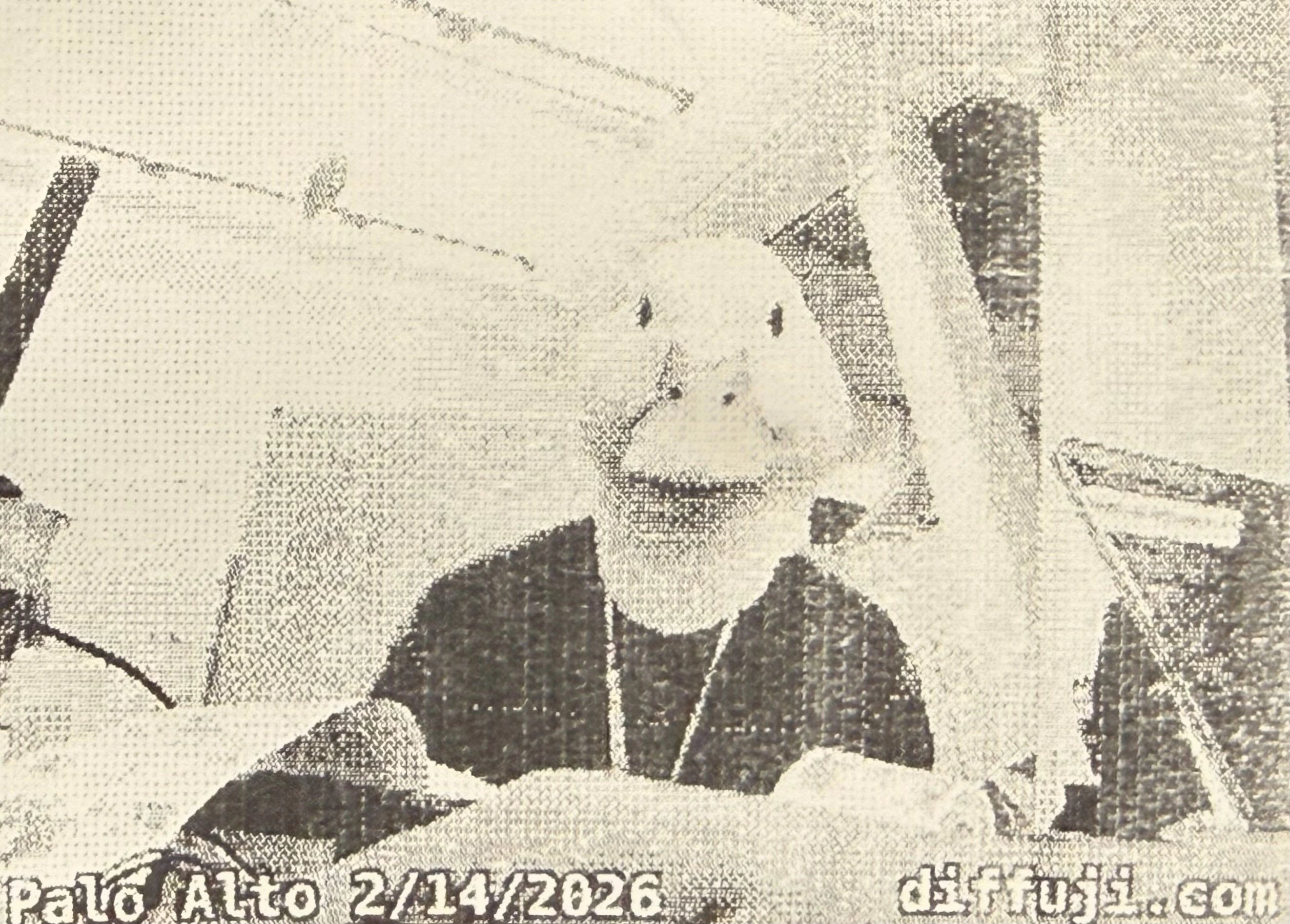 Photos from diffuji